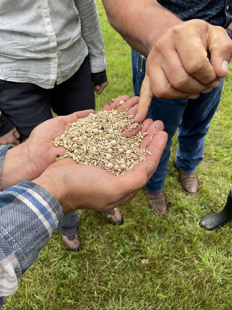 Regenerative Farming-Championing Partnerships Main Gallery Image