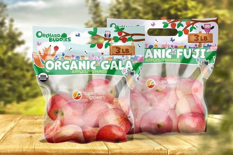 Recyclable Apple Packaging Initiatives