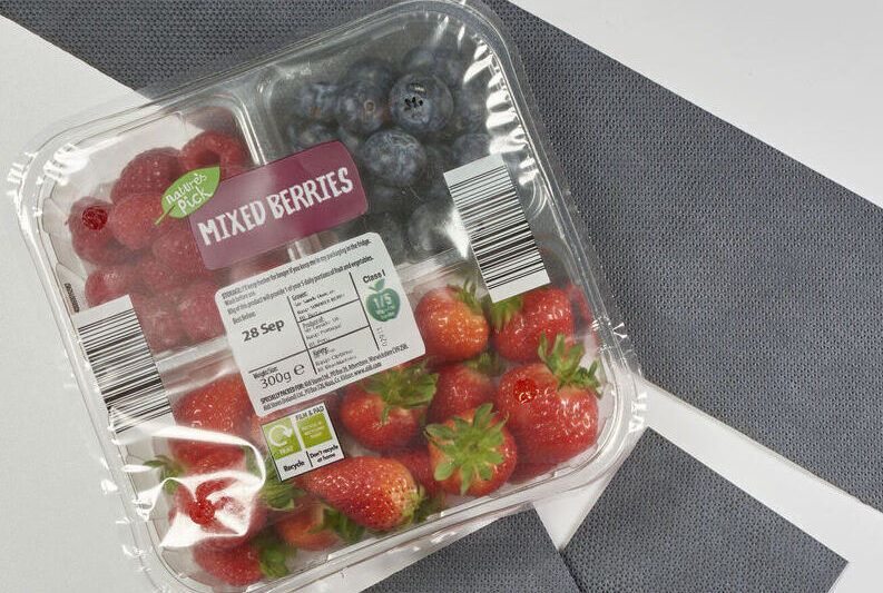 Compostable Berry Packaging Materials