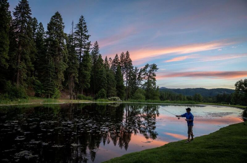 Northern Californian Ranches