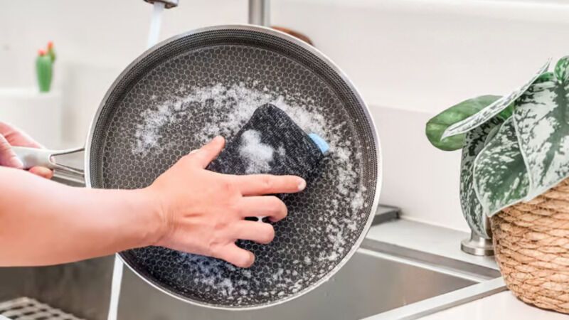 Indestructible Silver-Infused Sponges