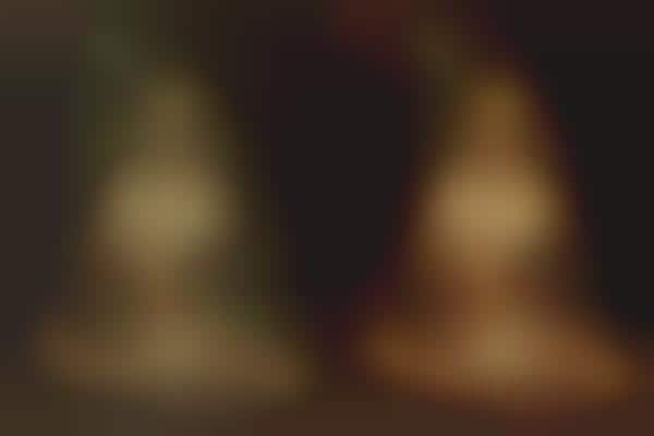 Digital Photo Doctors