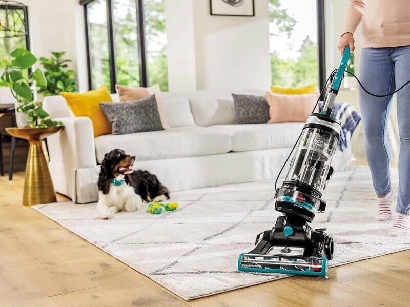 See-Through Vacuum Cleaners