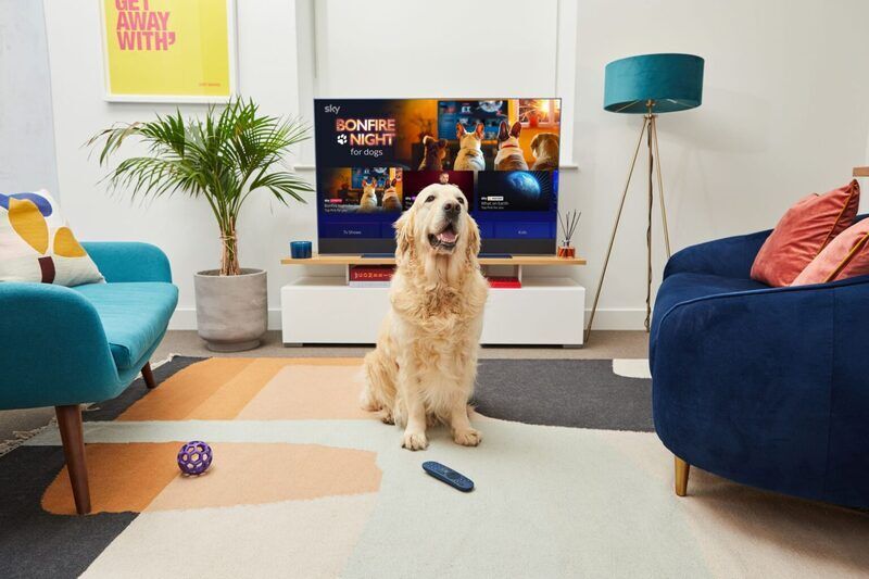 Pet-Calming Channels