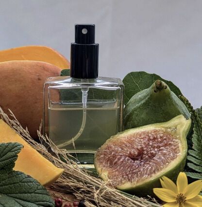 Cozy Island-Inspired Fragrances