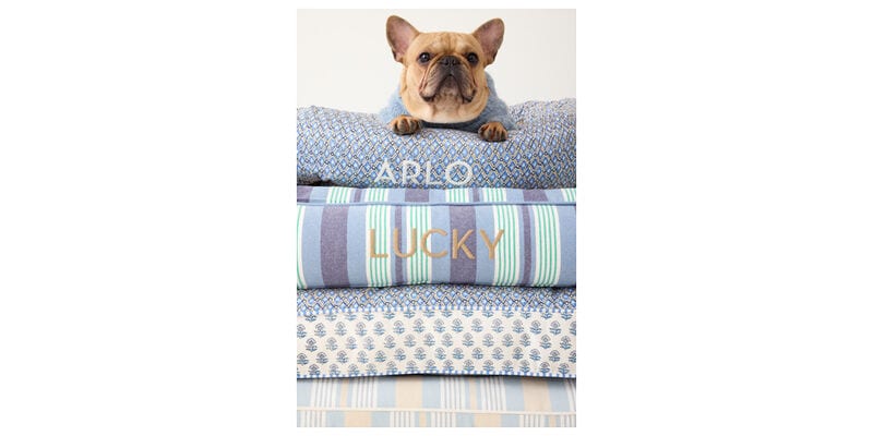 Pattern-Heavy Pet Collections