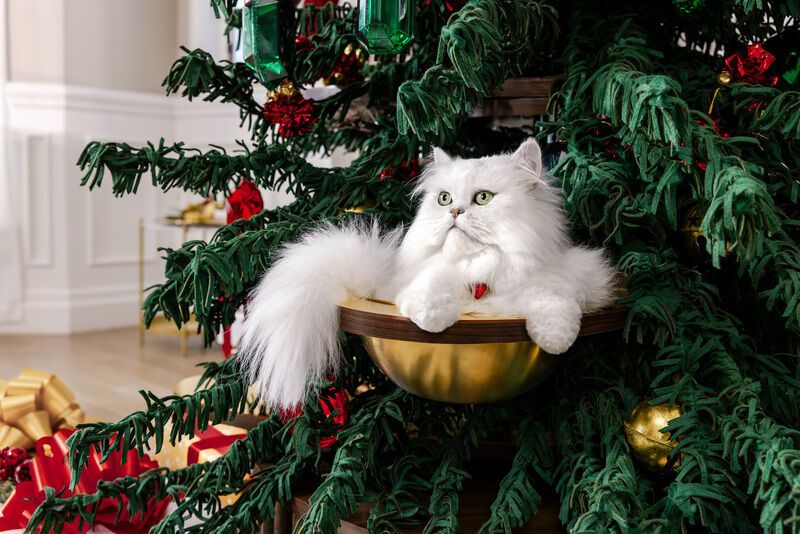 Cat-Friendly Holiday Trees