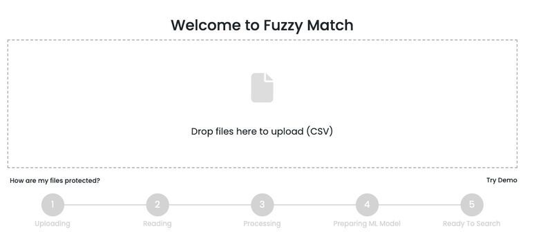 Advanced Text Matching : Fuzzy Match