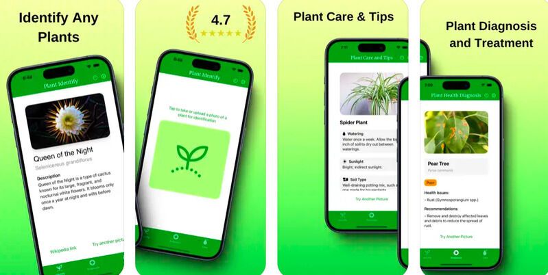 AI Plant Identifier