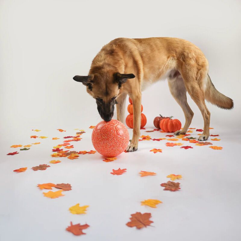 Durable Canine Soccer Balls