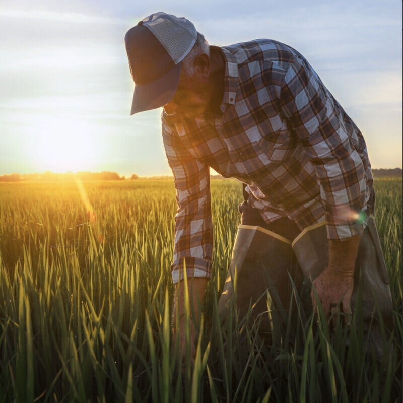 Sustainable Farming Incentives