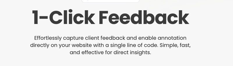 Client Feedback Tools