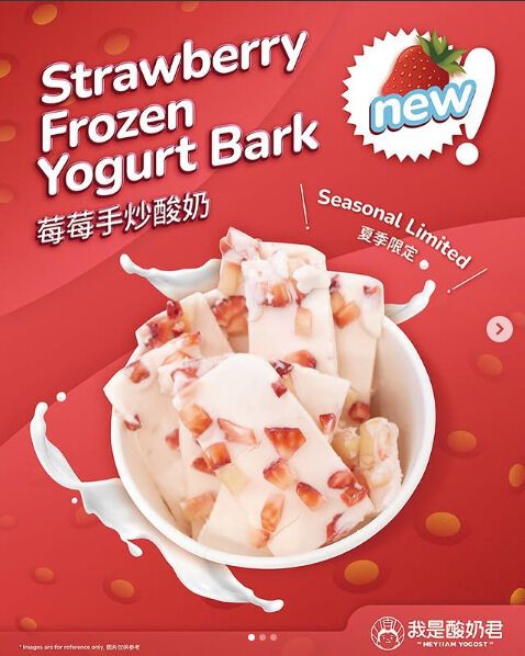 Frozen Flavored Yogurt Barks