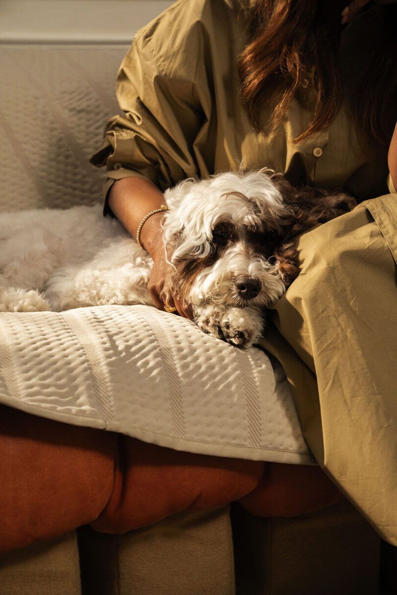 Sustainable Luxe Pet-Friendly Furniture