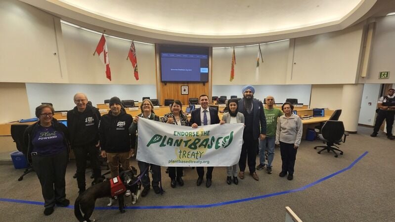 City-Endorsed Plant-Based Treaties Main Gallery Image