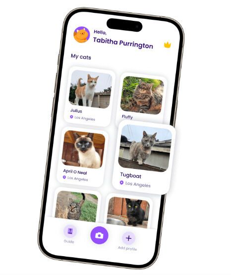 Cat Tracking Apps
