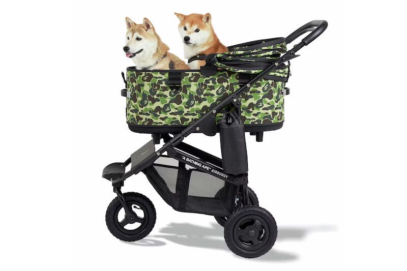 Streetwear-Informed Pet Strollers