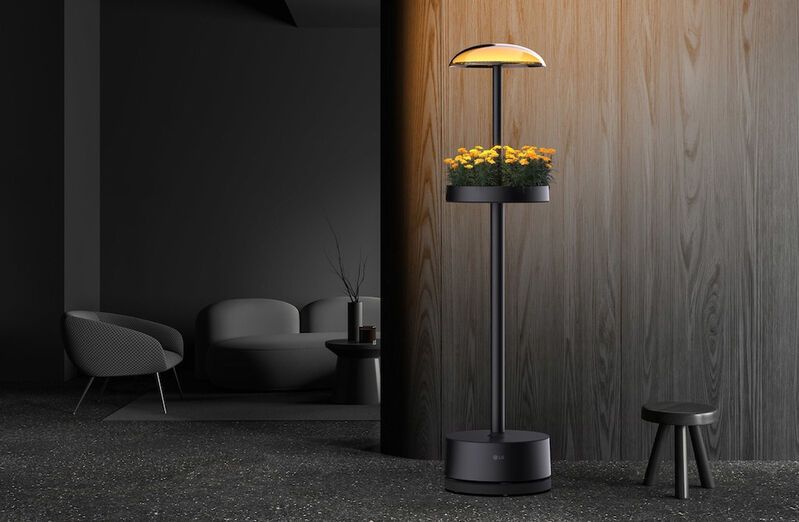 Garden-Integrated Lamp Designs