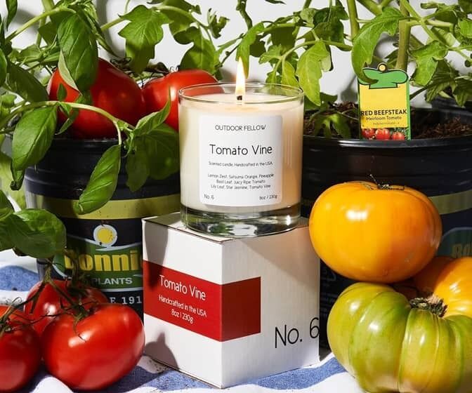 Aromatic Tomato Vine Candles