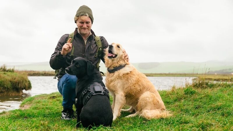 Satellite-Connected Pet Trackers