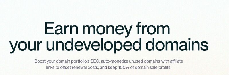 Domain Monetization Tools