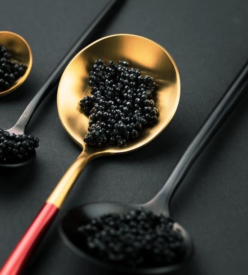 News Image for UMAMI Bioworks Launches Sustainable Cultivated Caviar