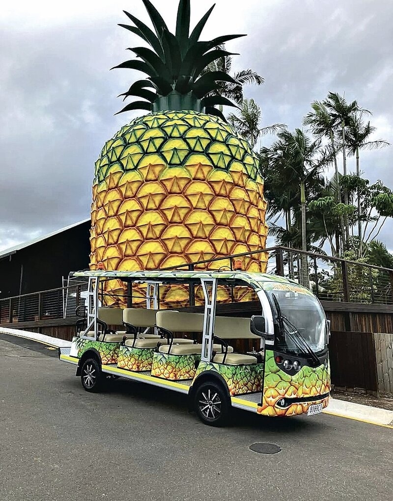 Eco-Conscious Tourist Vehicles Main Gallery Image