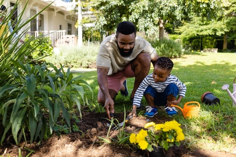 Eco-Friendly Lawn Care Products Main Gallery Image