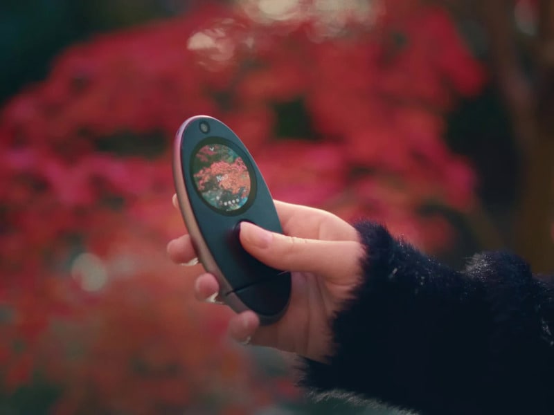 Pebble-Shaped Effortless Cameras