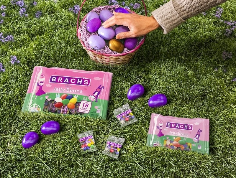 Egg Hunt Hiding Services