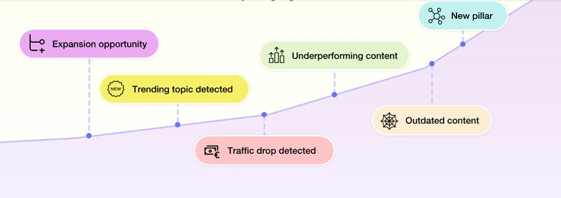 SEO Optimization Tools