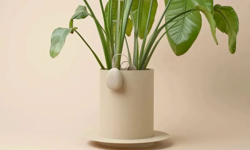Automated Pro-Grade Plant Sensors