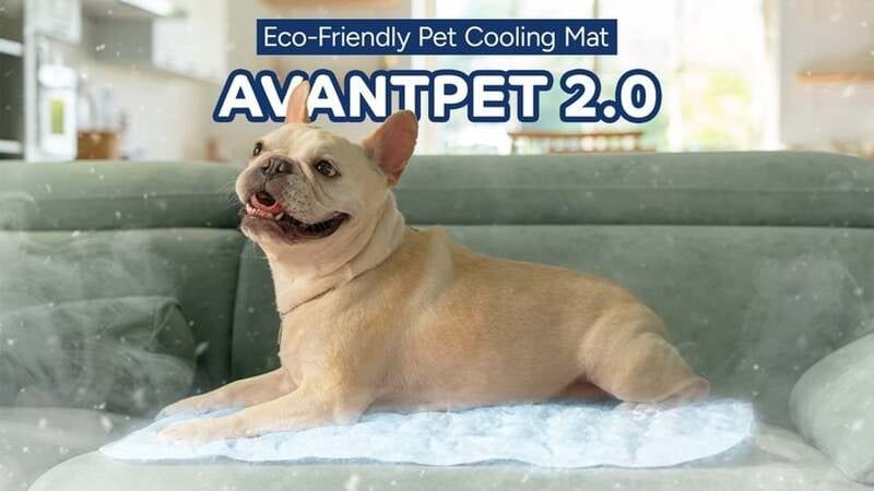 Pet Body Cooling Mats