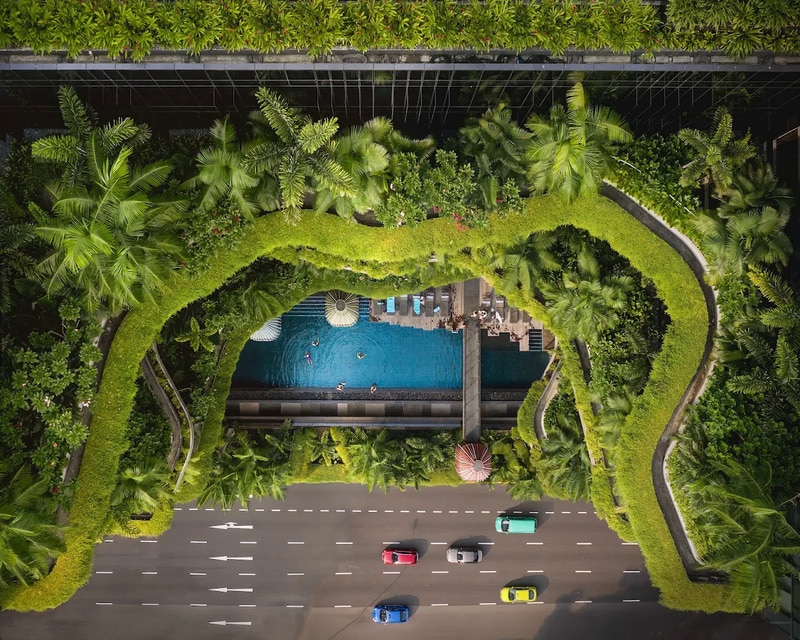 Organic Plant-Covered Exteriors Main Gallery Image