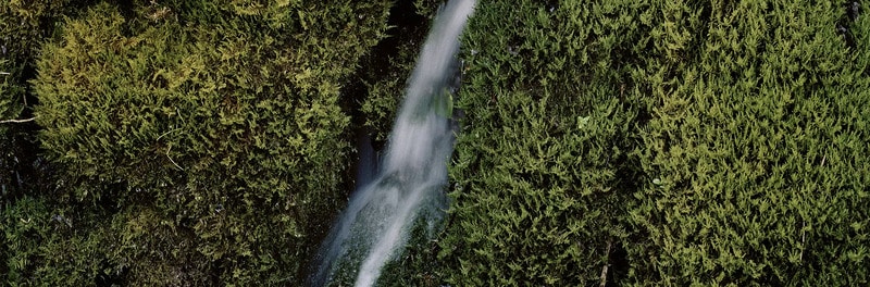 Water Replenishment Initiatives Main Gallery Image