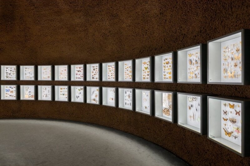 Branded Bee Ambassadors Main Gallery Image
