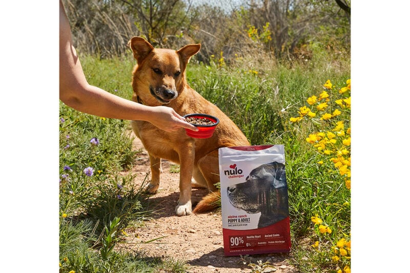 Dog Kibble Expansions Main Gallery Image