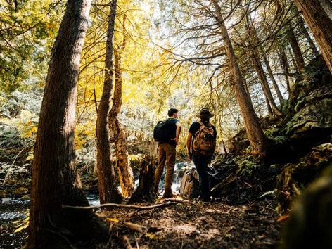 Sustainable Storytelling-Based Campaigns Main Gallery Image