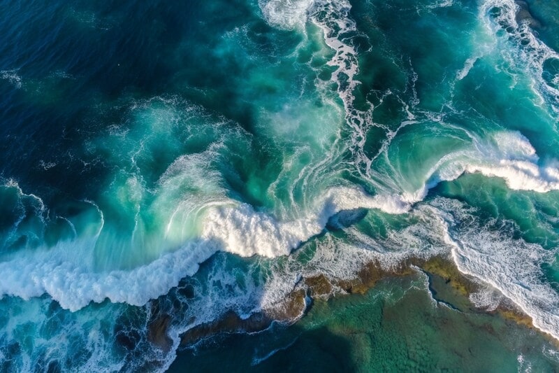 Ocean Conservation-Focused Hotel Initiatives Main Gallery Image