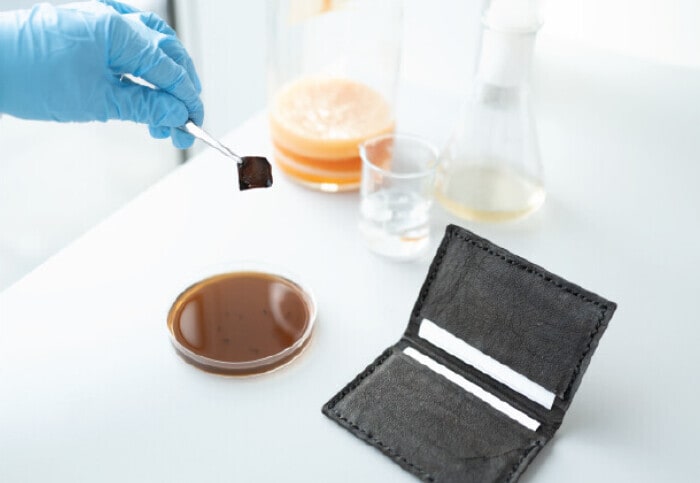Self-Dying Plastic-Free Vegan Leathers Main Gallery Image
