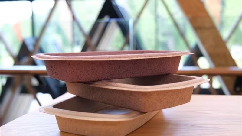 Blueberry Pomace Fibre Trays Main Gallery Image