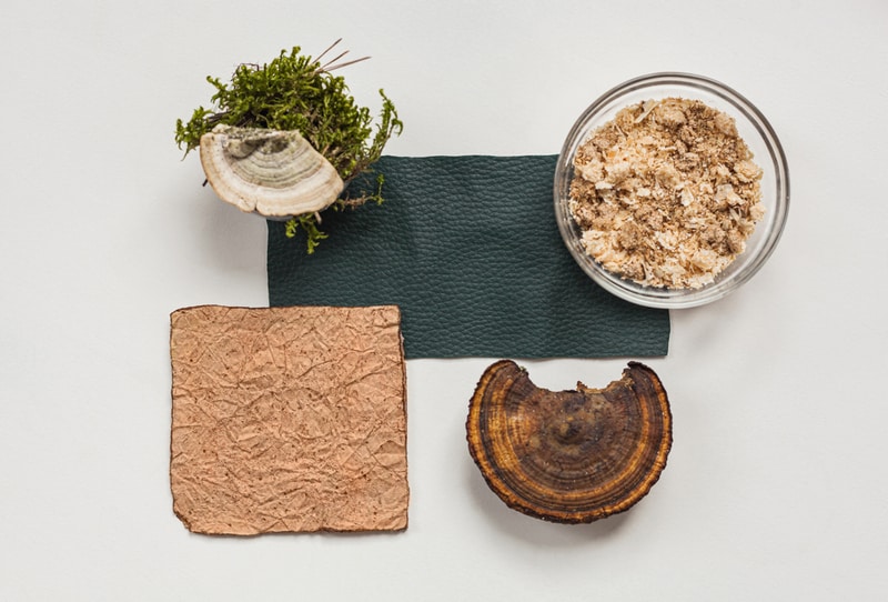 Bio-Based Consumer Products Main Gallery Image