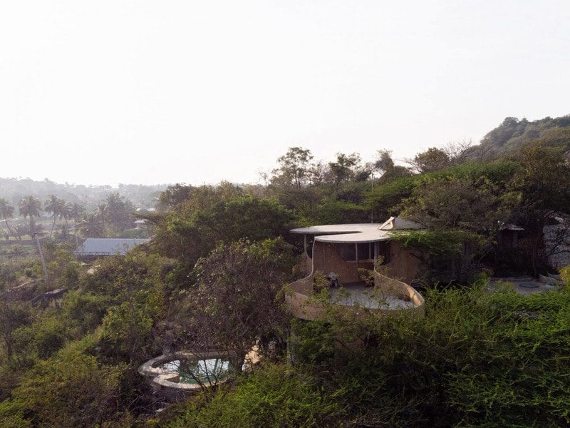 Tree-Surrounded Mud-Walled Residences