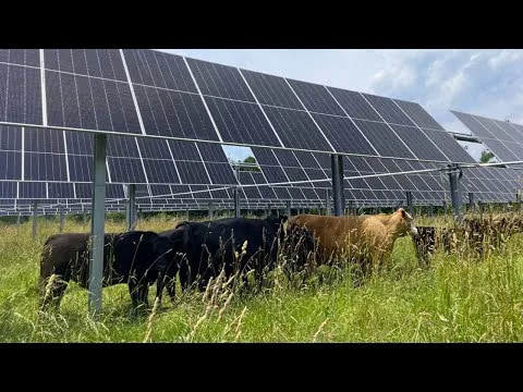 Agrivoltaic Development Projects Main Gallery Image