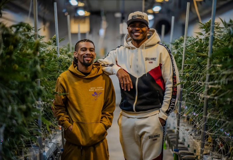 Democratizing Cannabis Production-Focused Programs