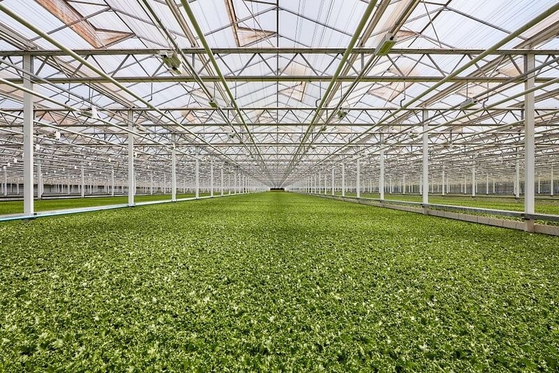 Controlled Agriculture Farms Main Gallery Image