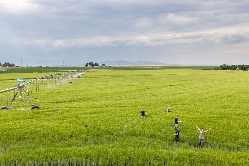 Regenerative Agriculture-Focused Partnerships Main Gallery Image