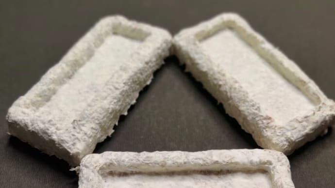 Fungi-Derived Packaging Innovations Main Gallery Image