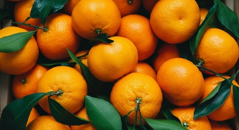 Orange Peel Repurposing Projects Main Gallery Image