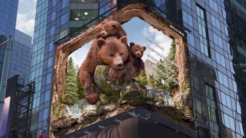 3D Grizzly Bear Displays Main Gallery Image